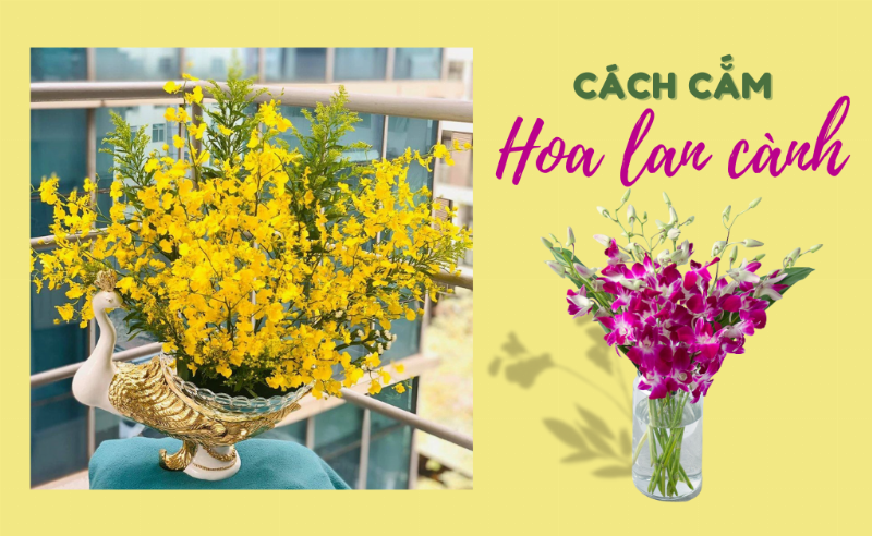 Sáng tạo phụ kiện cắm hoa lan cành với đá sỏi và lá xanh trong bình thủy tinh
